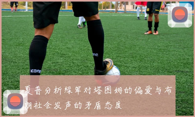 夏普分析绿军对塔图姆的偏爱与布朗社会发声的矛盾态度