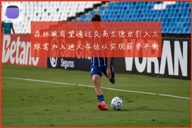 森林狼有望通过交易兰德尔引入三球需加入迪文岑佐以实现薪资平衡